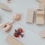 Laboratorium STEAM: pomysły na pracownie w małej szkole Modele anatomiczne i drewniane klocki w pracowni STEAM dla dzieci